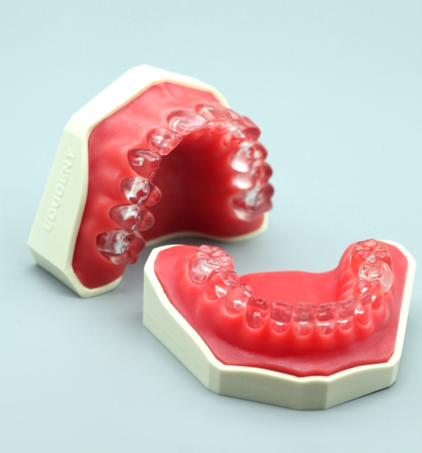 EndoPrep® Mandibula and Maxilla