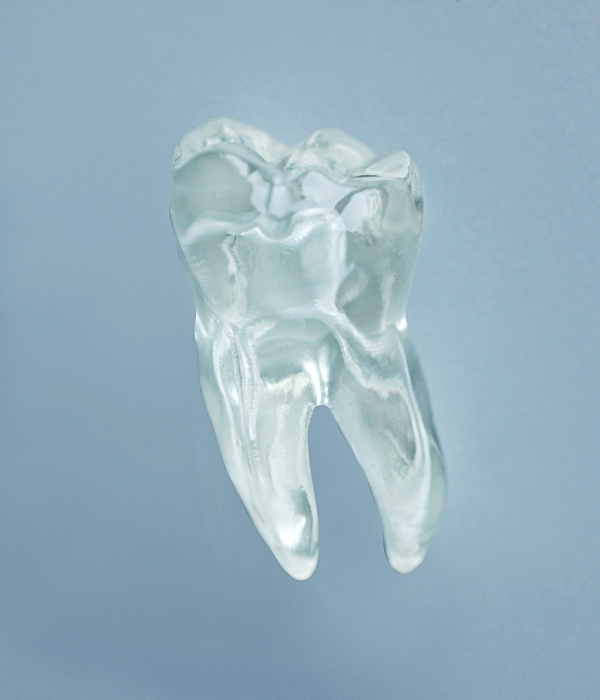 EndoPrep® One Tooth