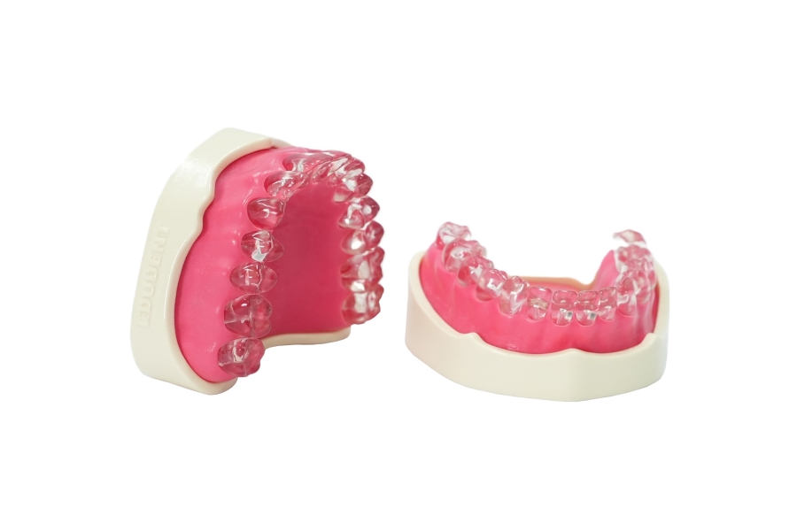 EndoPrep® Mandibula and Maxilla