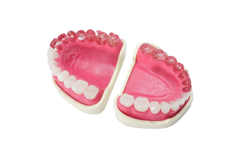 EndoPrep® Mandibula and Maxilla