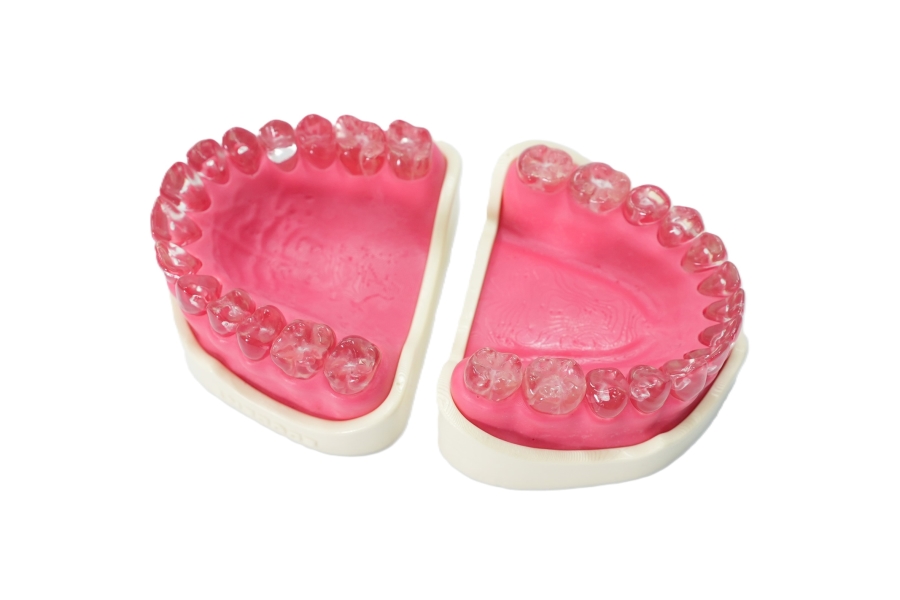 EndoPrep® Mandibula and Maxilla