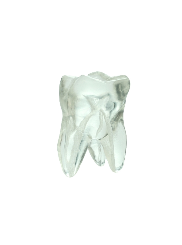 EndoPrep® One Tooth