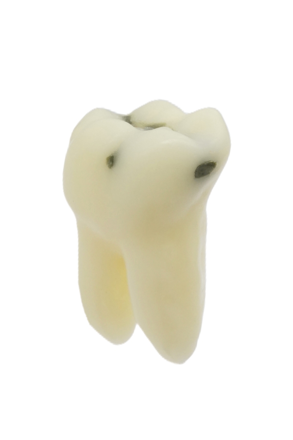 RestoPrep® One Tooth