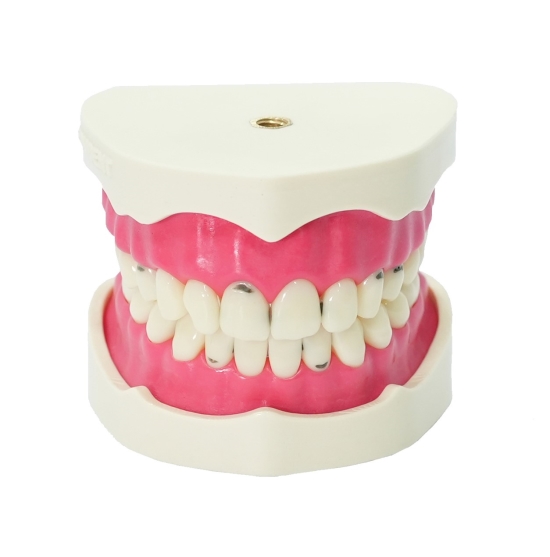 Restorative Dentistry