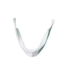 Mandible Jaw Bone